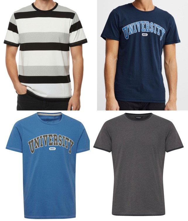 11 Project ffi polo 2026301